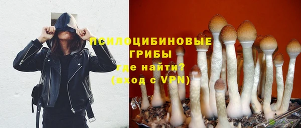 индика Гусев
