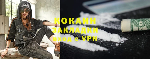 индика Гусев