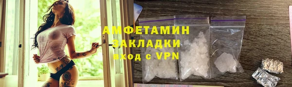 индика Гусев