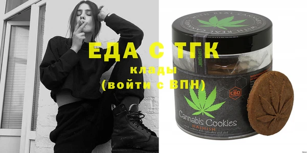 индика Гусев