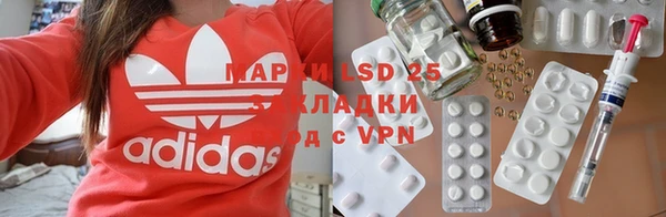 индика Гусев