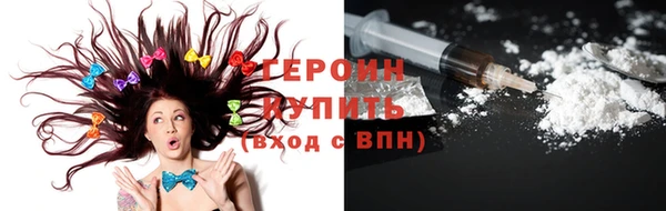 индика Гусев