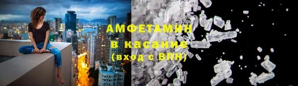 индика Гусев