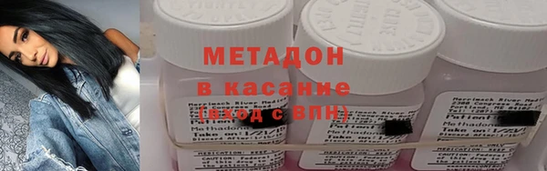 индика Гусев