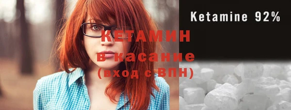 индика Гусев