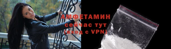 индика Гусев