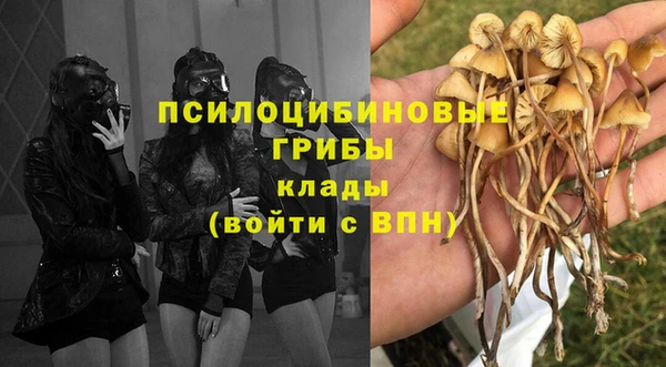 а пвп мука Гусь-Хрустальный