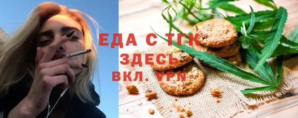 индика Гусев