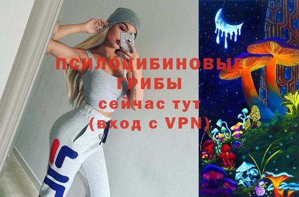 а пвп мука Гусь-Хрустальный