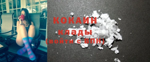 индика Гусев