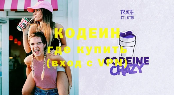 индика Гусев