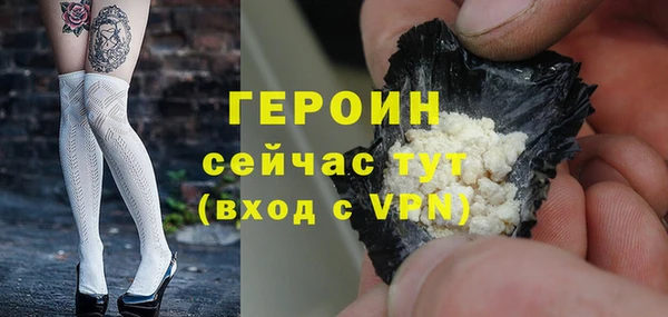 индика Гусев