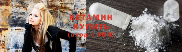 индика Гусев