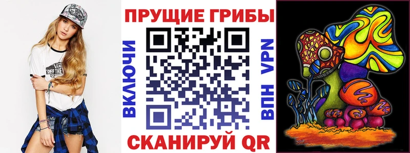 Купить  Мончегорск  Галлюциногенные грибы GOLDEN TEACHER 