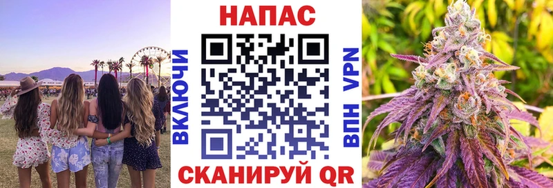 Купить где  Мончегорск  Конопля OG Kush 